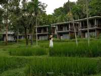 โรงแรม 5 ดาวติดภูเขาใกล้ธรรมชาติ