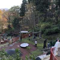🌳🌸🏞️ 西山公園⛩️大自然的綠洲 🌳🌸🏞️