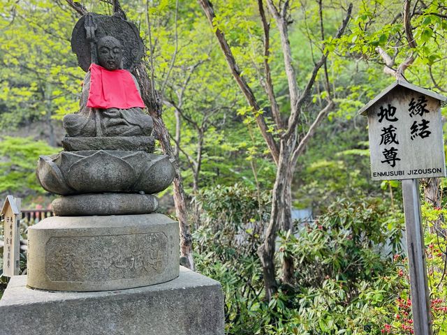 [草津湯畑♨️➕ 西之河原公園🏞️]