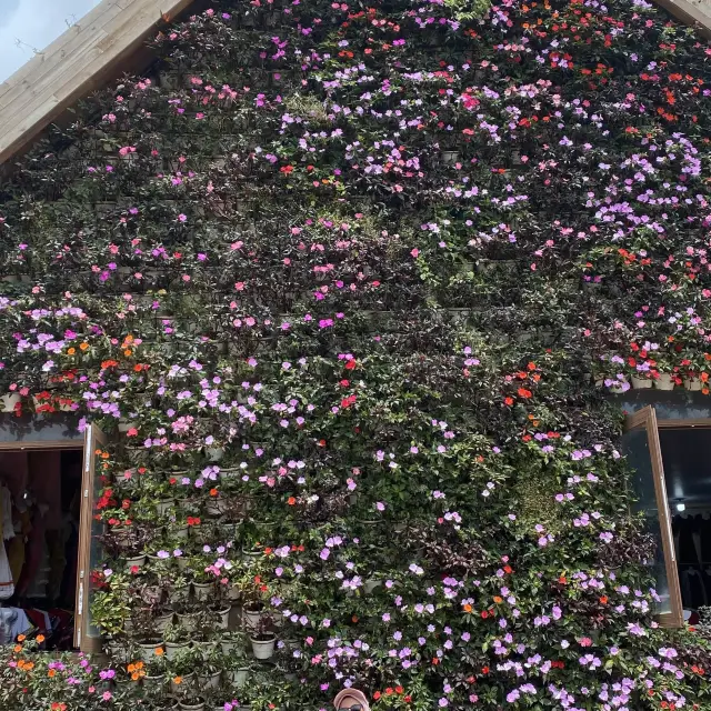 Swarmed with fresh flowers and cold breeze