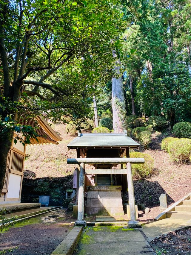 Asaina Kiridoshi Pass - Kumano Shrine 