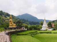 สักการะพระเจ้าต๋นหลวงกลางทุ่งนา @วัดนาคูหา จ.แพร่