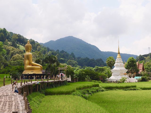 สักการะพระเจ้าต๋นหลวงกลางทุ่งนา @วัดนาคูหา จ.แพร่