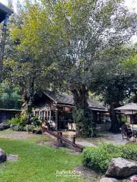 🌳จิบกาแฟที่ Horizon Harvest