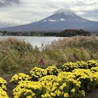 #fallishere #japan #mtfuji 