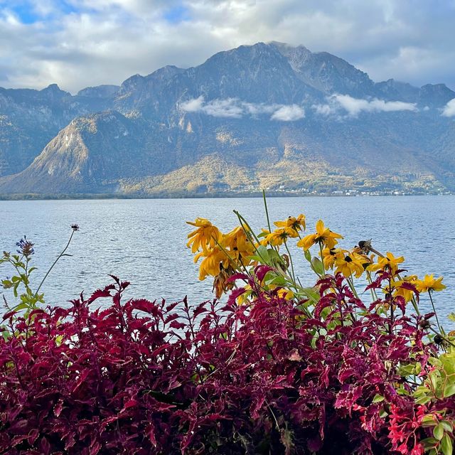 Blooms & Views: Montreux Elegance