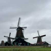 Windmills and Wonders of Dutchs! 