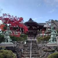 「京都西山正法寺」值得遊歷