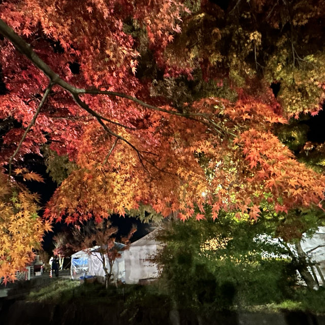 Aomori Japan Autumn
