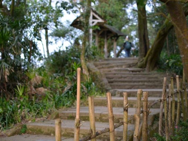 Elephant Mountain's Stunning Views in Taipei