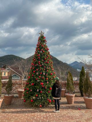Geoje Cafe Merry Cliff with a big Christmas tree☕️