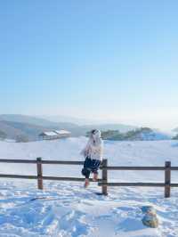 겨울날 눈 온 뒤 꼭 가야하는 최고의 설경 스팟❄️❄️