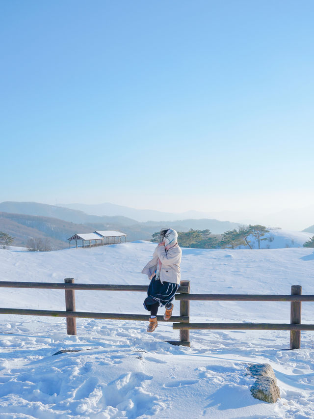 겨울날 눈 온 뒤 꼭 가야하는 최고의 설경 스팟❄️❄️