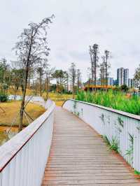 蠔鄉湖公園：深圳的都市綠洲與休閒天堂🌿