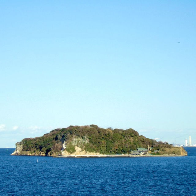 Monkey Island in Yokosuka 😅
