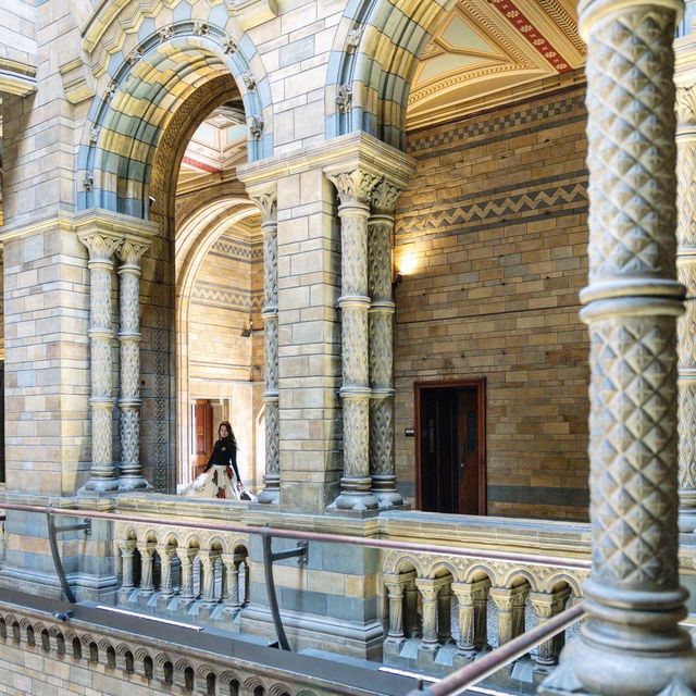 【イギリス】ナイトミュージアムの世界！自然史博物館