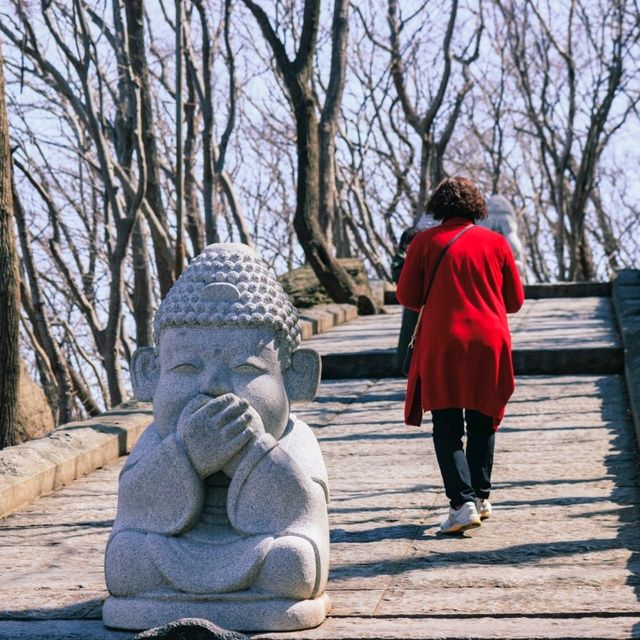 겨울의 동백을 여수 향일암에서