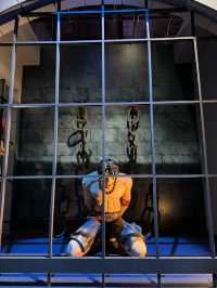 ⭐️ One Piece The Great Era of  Piracy Exhibition