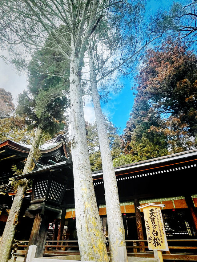 【長野県/下諏訪　全国にある諏訪神社の総本社『諏訪大社』の2つ目⛩️秋宮】
