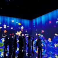 Immerse in teamLab Borderless, Tokyo