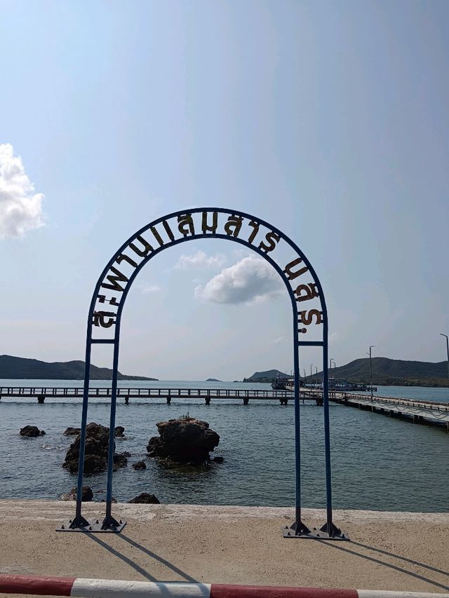 ดำน้ำดูปลาการ์ตูน @เกาะแสมสาร