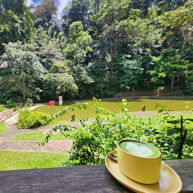 Café ín e Woods-Píneyard at Bentong Genting