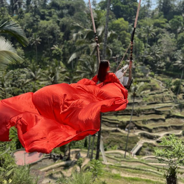 Escape the mundane with BALI SWINGGG