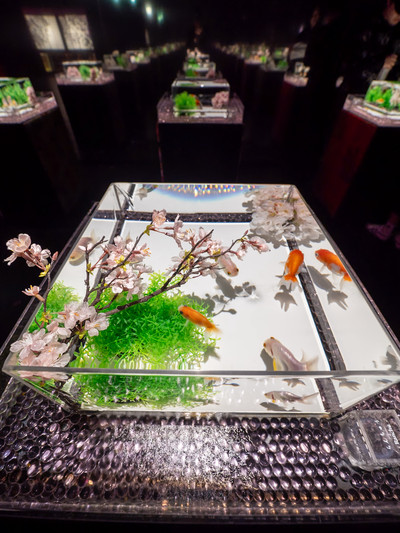 幻想空間が桜に染まる！🌸】アートアクアリウムの春の企画展がとても