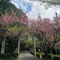 光の道で有名な宮地嶽神社