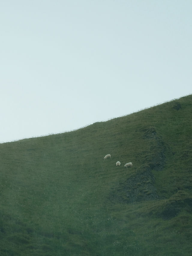 🇮🇸冰島南部經典景點 斯克加瀑布彩虹奇觀 🚗一號環島路線必遊