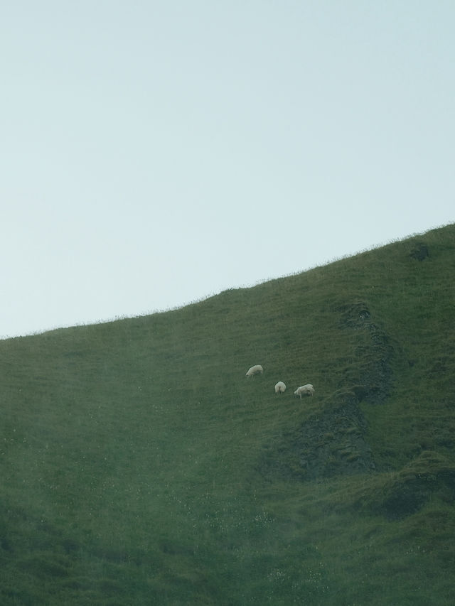 🇮🇸冰島南部經典景點 斯克加瀑布彩虹奇觀 🚗一號環島路線必遊