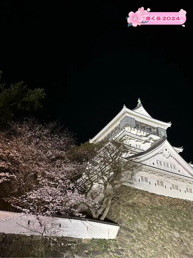 【桜スポット】小倉城と桜の素敵なコラボレーション！