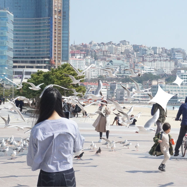 🌊 Haeundae Beach | Busan , South Korea