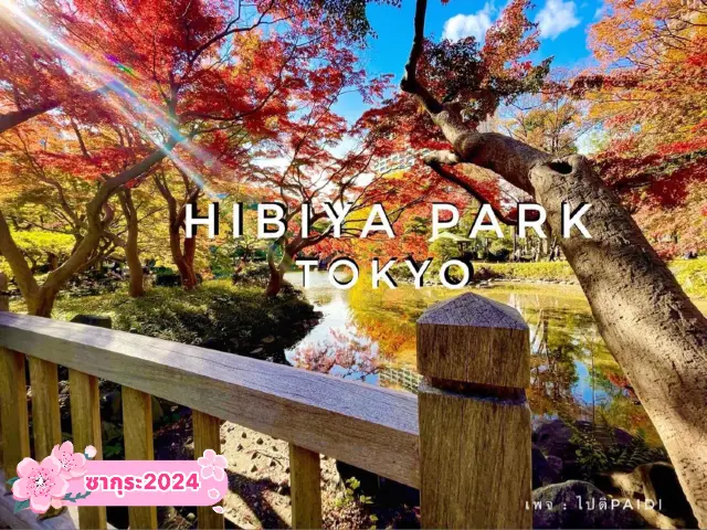 🍁สวนสาธารณะฮิบิยะ Hibiya Park 