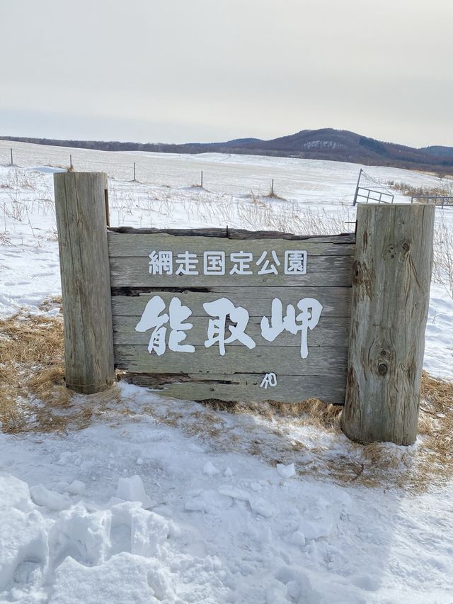 オホーツク海に突き出た能取岬