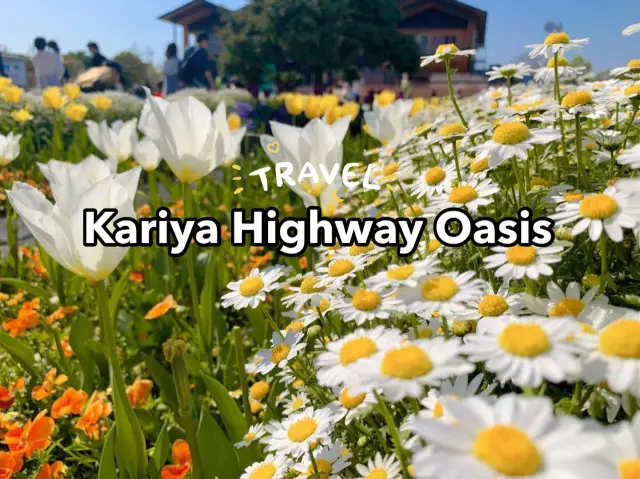เที่ยวชมดอกไม้ ที่ Kariya Highway Oasis