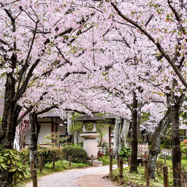 🌸 Immerse Yourself in Sakura Splendor: Shukkei-en Garden, a Tranquil Oasis in Hiroshima! 🍃🏯✨