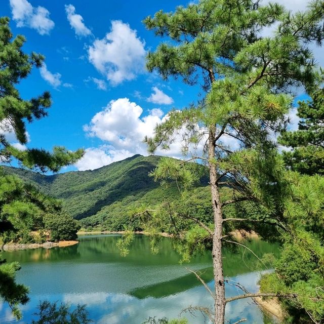 환상적인 마장호수 뷰🩵💚