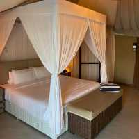 Glamping experience at Natra Bintan