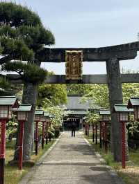 【福岡観光】なんじゃもんじゃの花が咲き乱れる神社