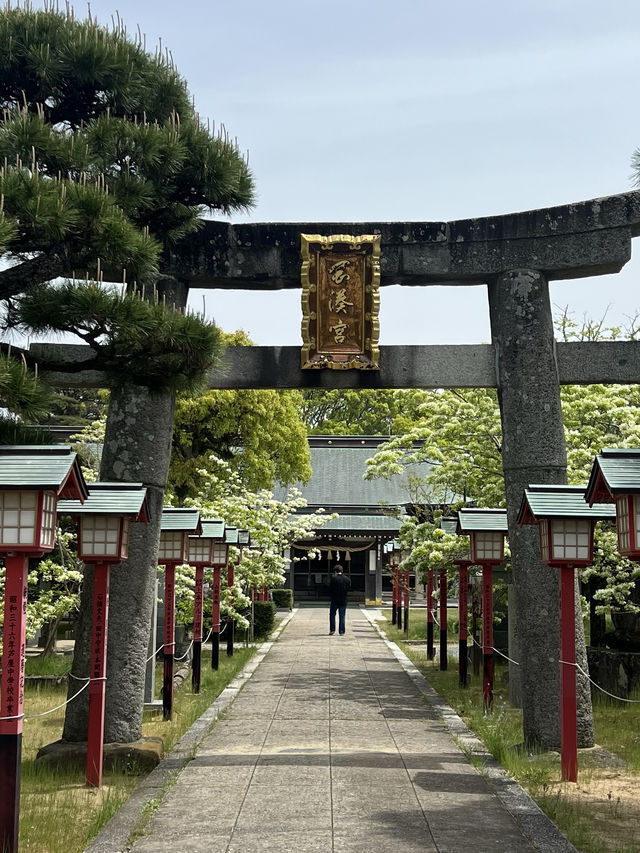 【福岡観光】なんじゃもんじゃの花が咲き乱れる神社