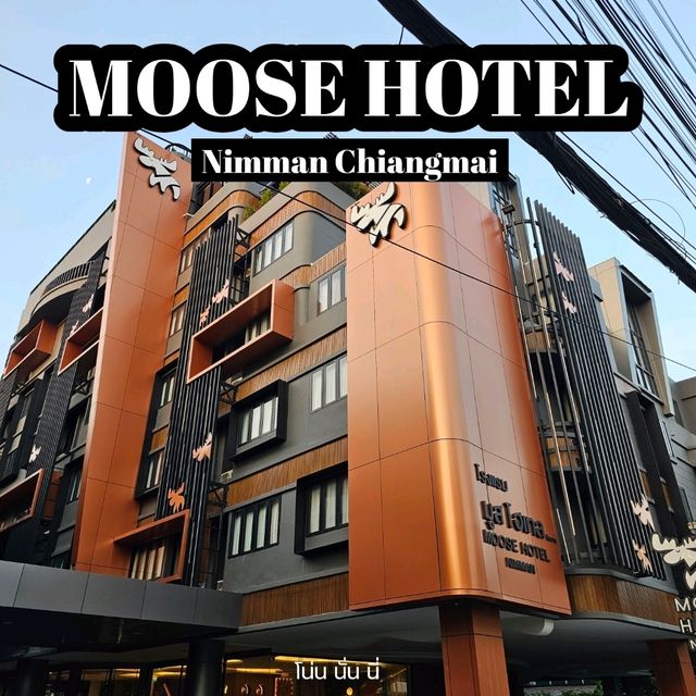 ไปเชียงใหม่ นอนสบายๆที่ Moose Nimman