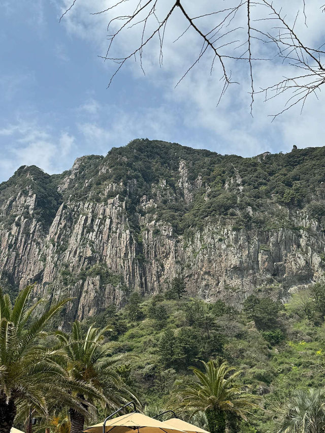 🌱₊˚ᝢ제주 산방산 마운틴뷰 카페 원앤온리 ◡̈🌼༉₊🌤 