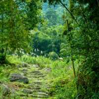 上海西山瀑布：驚人景緻