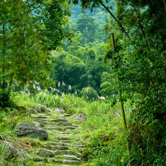 上海西山瀑布：驚人景緻