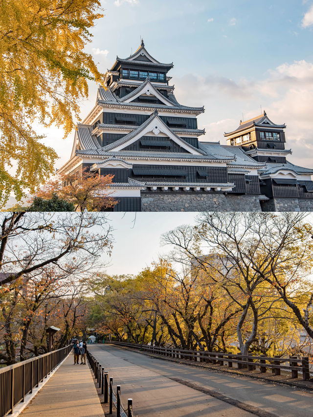 Kumamoto Castle 🏯แลนด์มาร์คดังแห่งเมืองคุมาโมโตะ