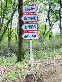 【男浅間神社/栃木県】足利富士を登れば、待つ絶景