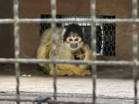 【福岡】🌴九州自然動物園：小動物摸摸樂，親子好去處！