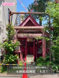 【一本檜稲荷神社（本社）/東京都】今は荒廃になるも吉宗絶賛の神社