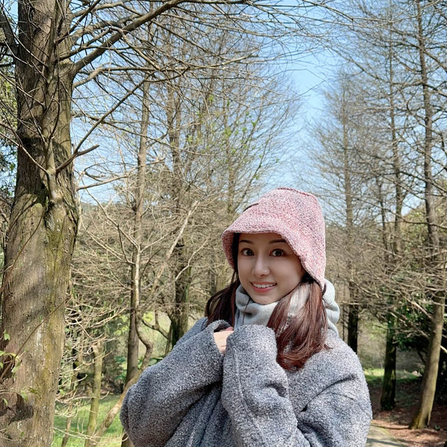 台北陽明山晴天一日遊🌱